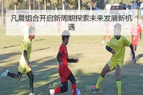 凡晨组合开启新周期探索未来发展新机遇